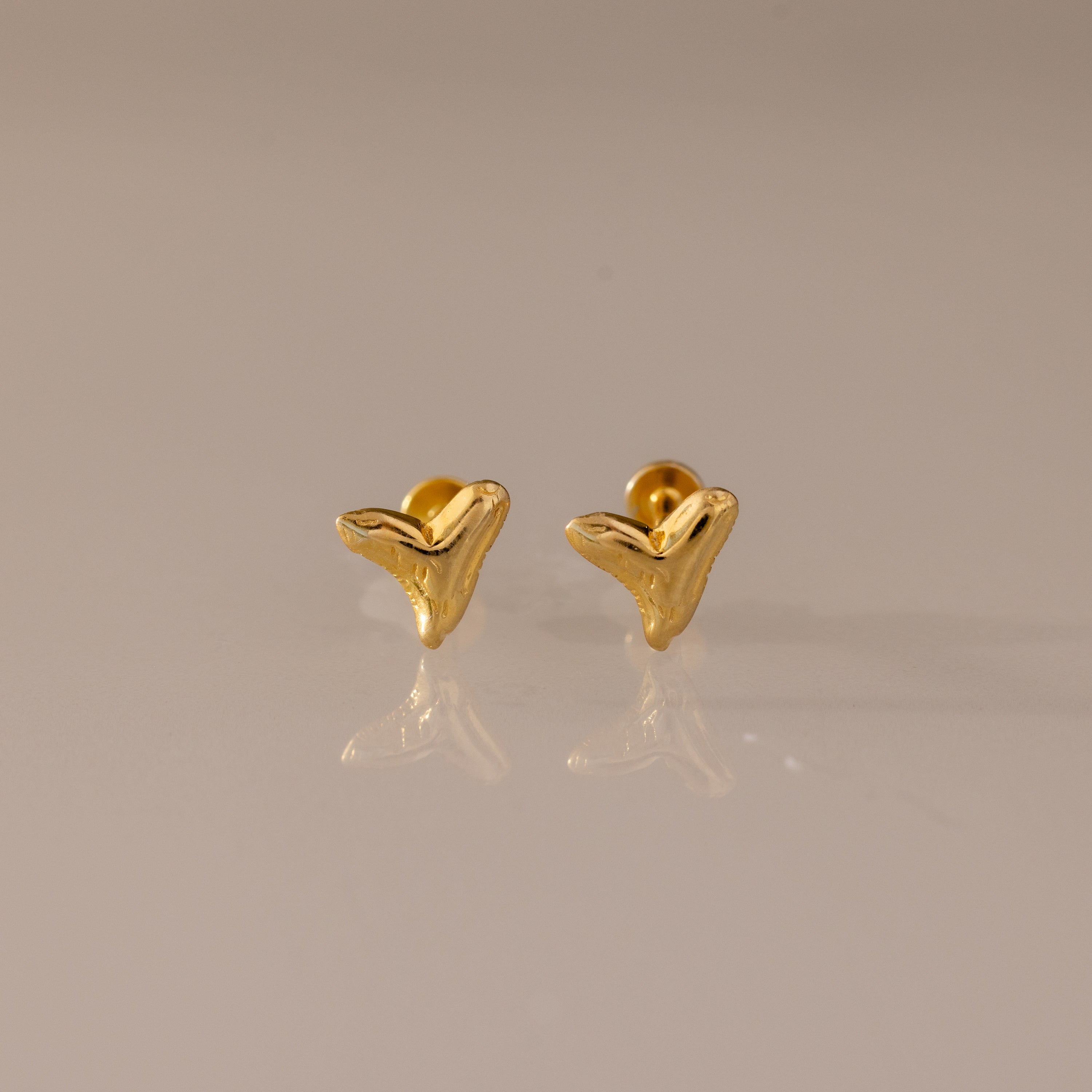 Shark Tooth Flatback Studs