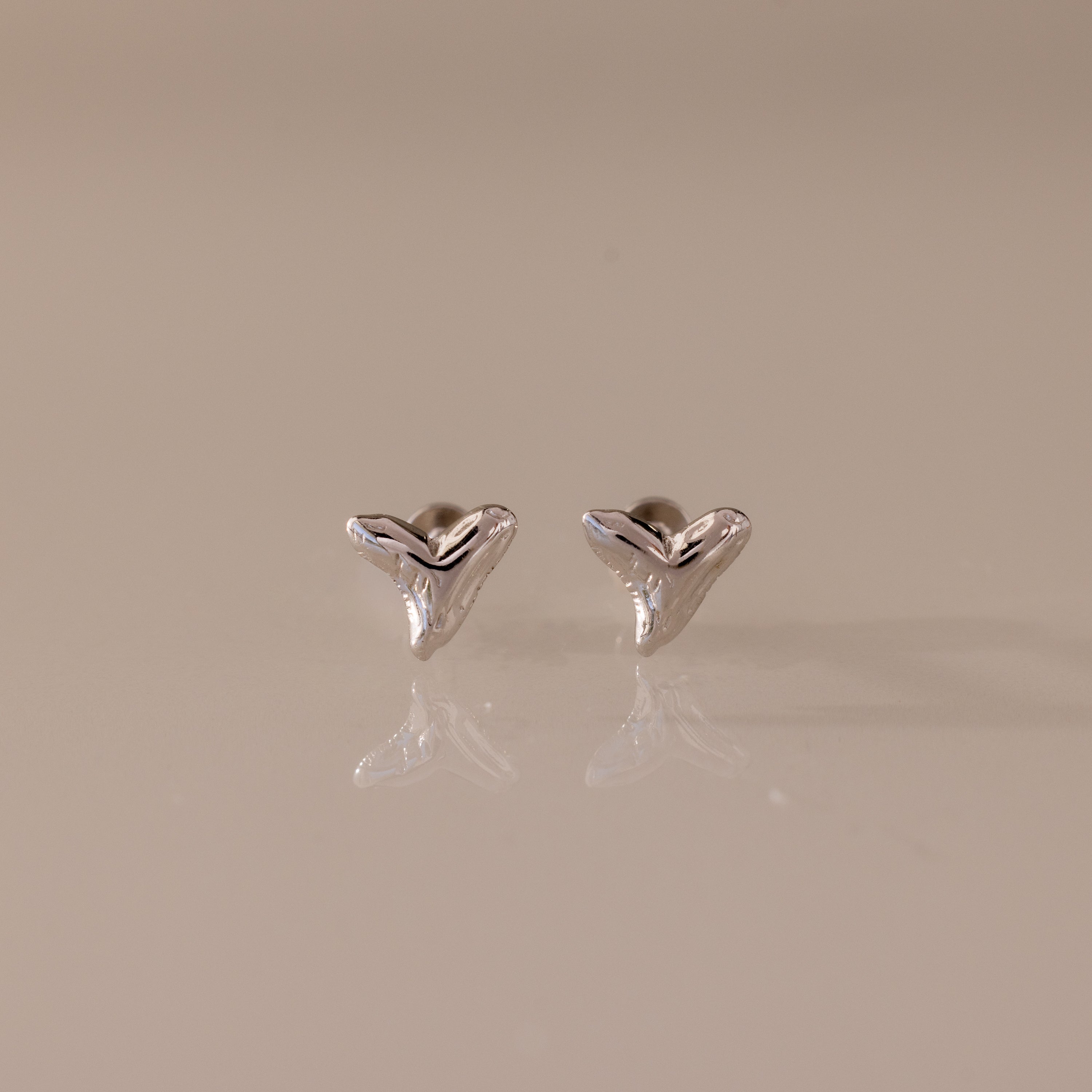 Shark Tooth Flatback Studs