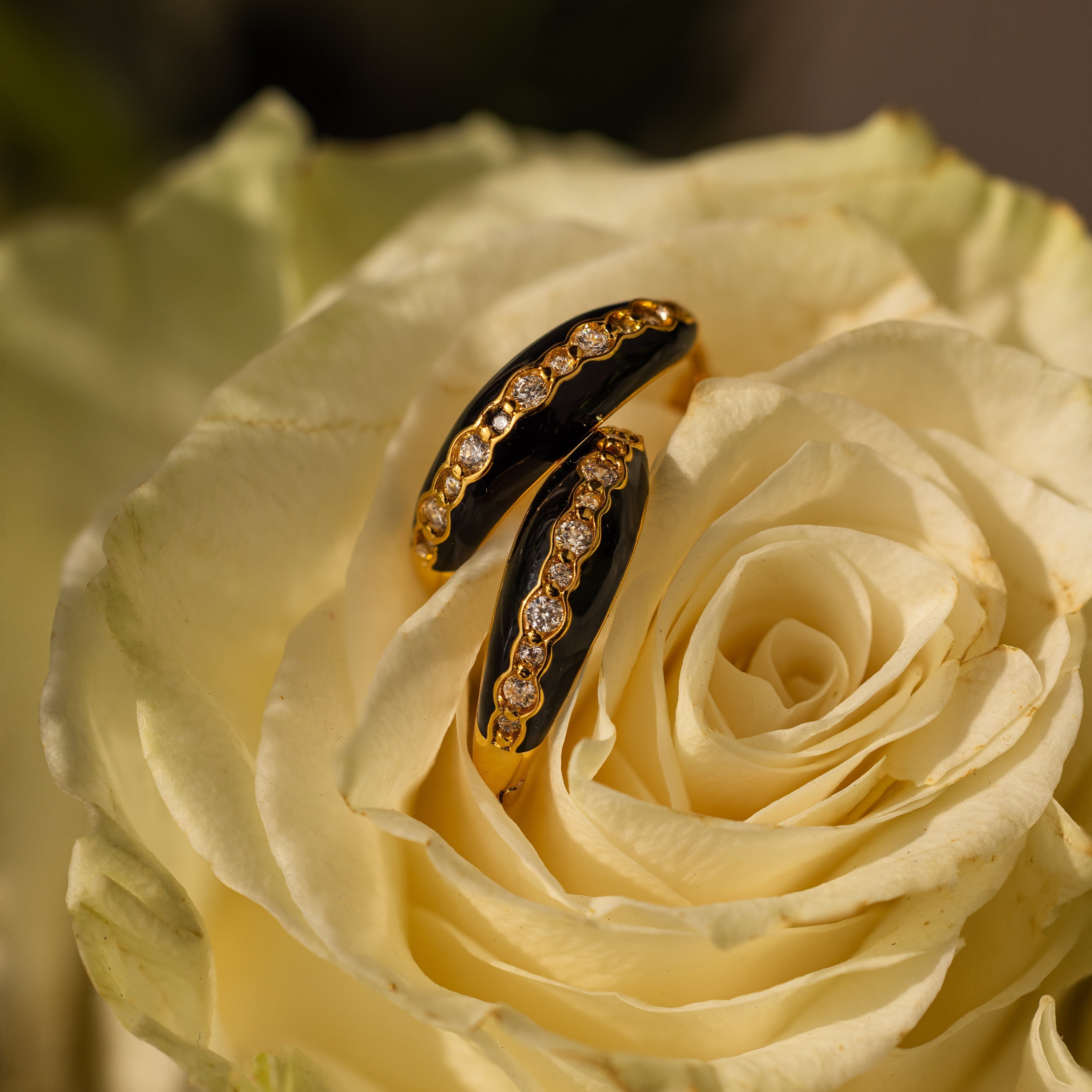 Noir Pave Dome Hoops