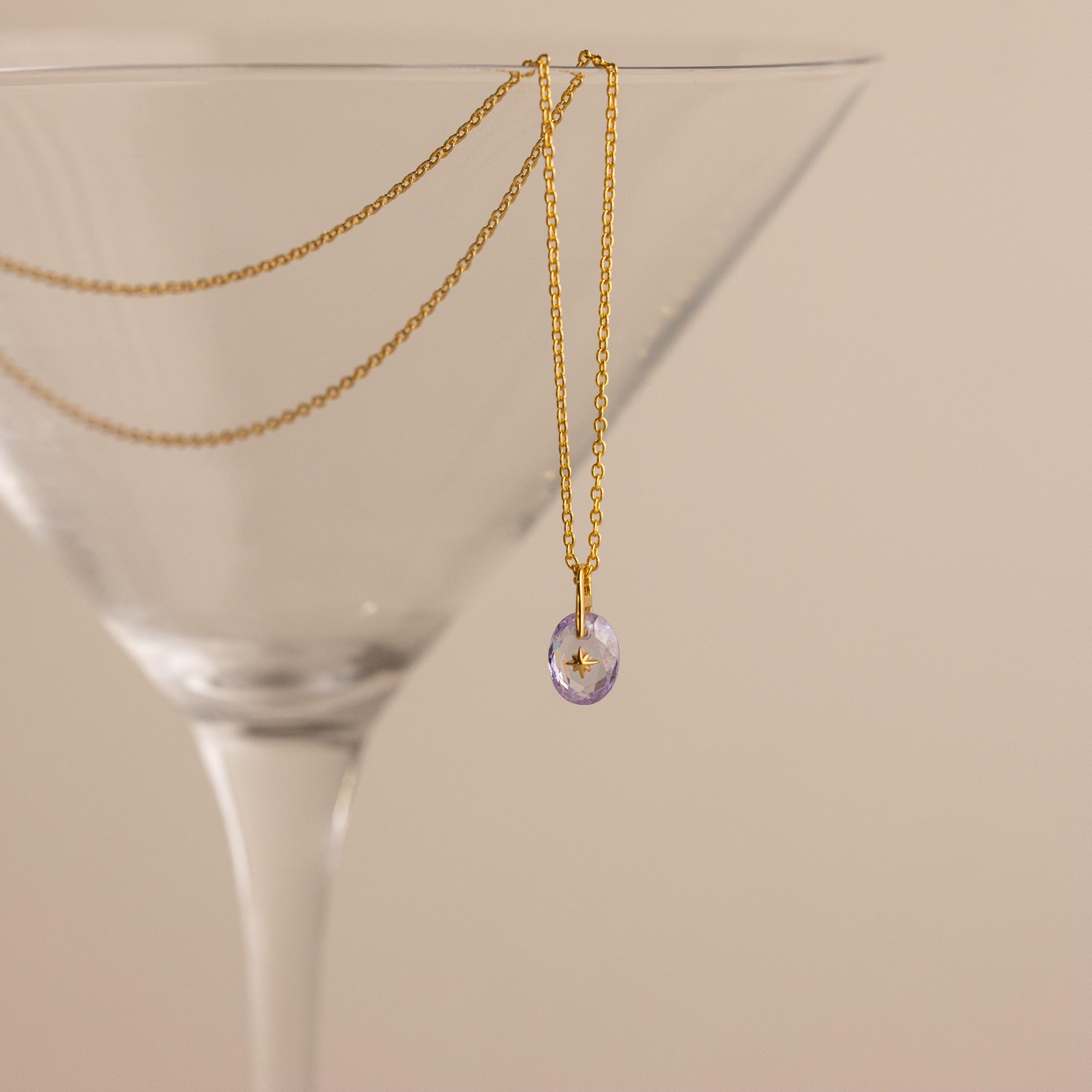 North Star Birthstone Signet Necklace