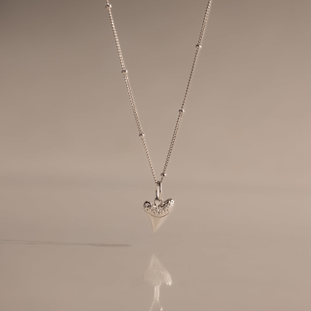 Shark Tooth Necklace