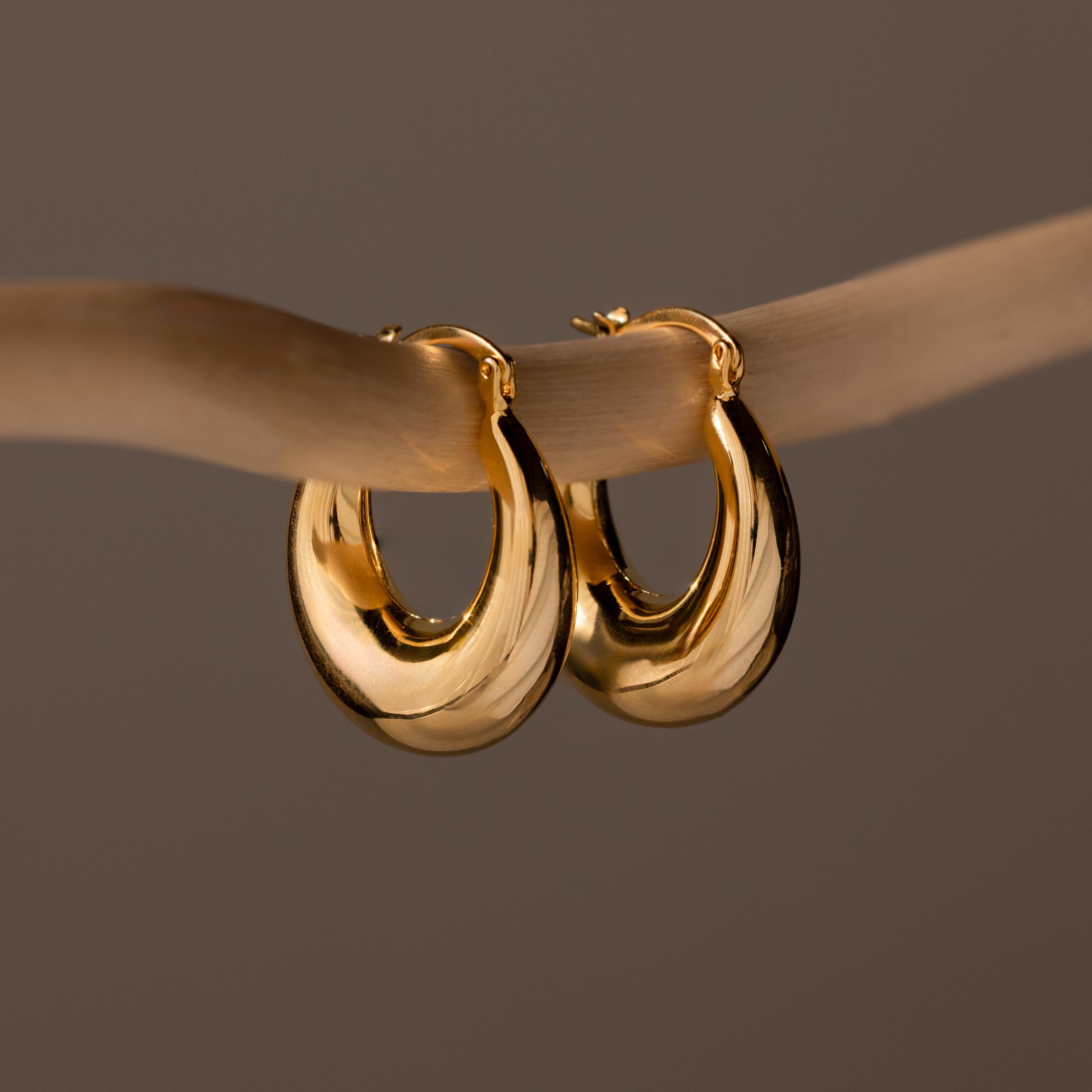 Sculpted Hoops