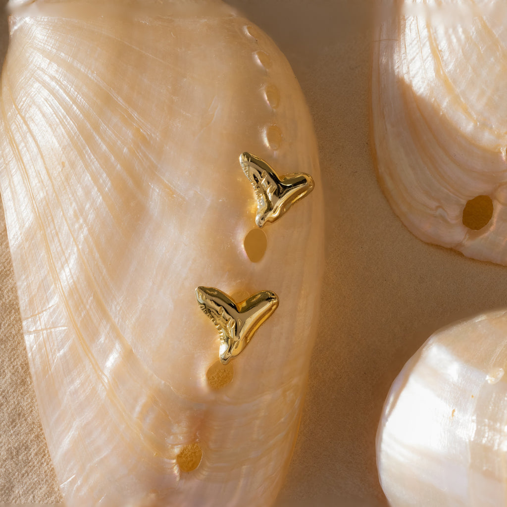 Shark Tooth Flatback Studs