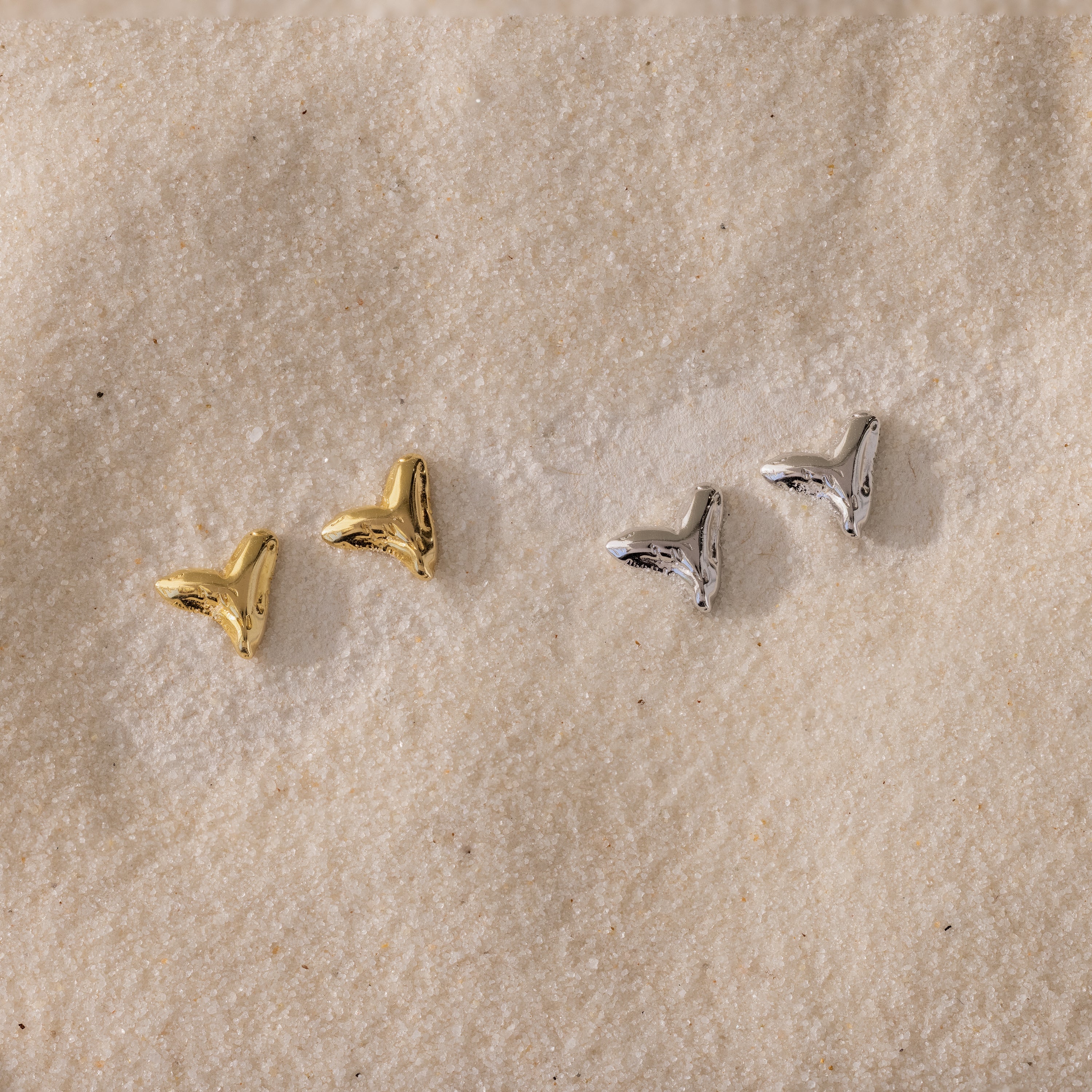 Shark Tooth Flatback Studs