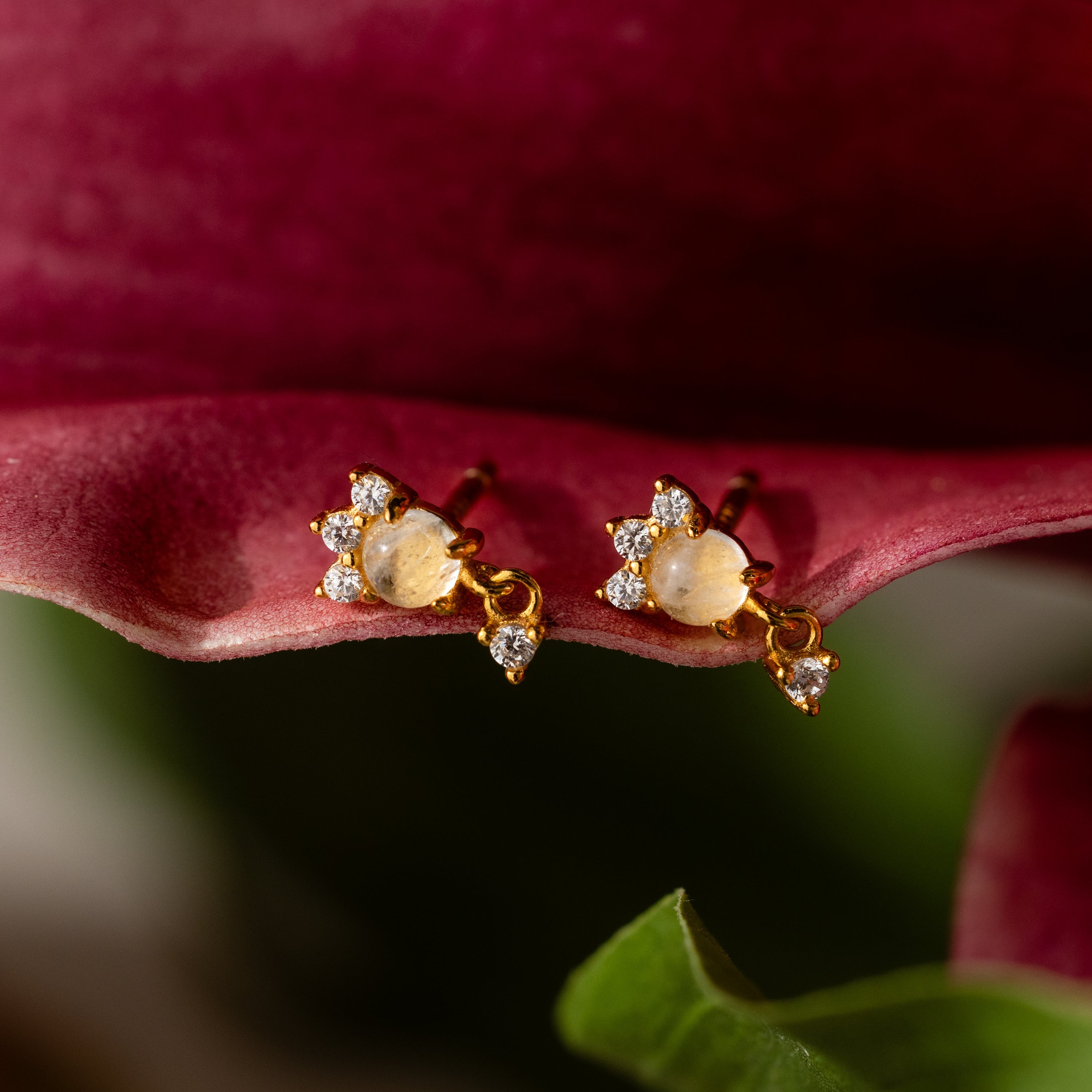 Halo Moonstone Drop Studs